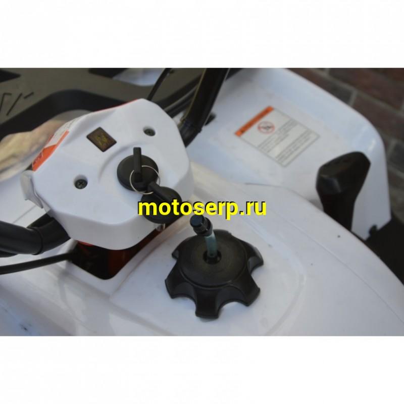 Купить  ====180cc Квадроцикл KAYO AU180 (BULL-3C) (белый пластик,комплект запчастей) 2023 г. (зал) (шт) (SM купить с доставкой по Москве и России, цена, технические характеристики, комплектация фото  - motoserp.ru