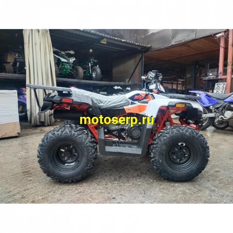 Купить  ====180cc Квадроцикл KAYO AU180 (BULL-3C) (белый пластик,комплект запчастей) 2023 г. (зал) (шт) (SM купить с доставкой по Москве и России, цена, технические характеристики, комплектация фото  - motoserp.ru