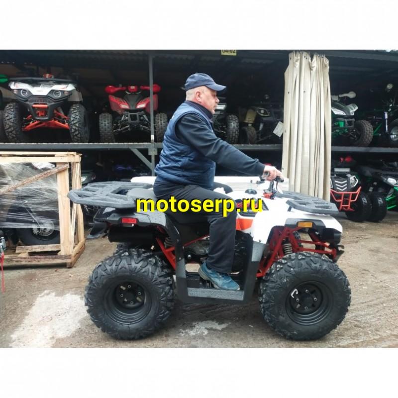 Купить  ====180cc Квадроцикл KAYO AU180 (BULL-3C) (белый пластик,комплект запчастей) 2023 г. (зал) (шт) (SM купить с доставкой по Москве и России, цена, технические характеристики, комплектация фото  - motoserp.ru