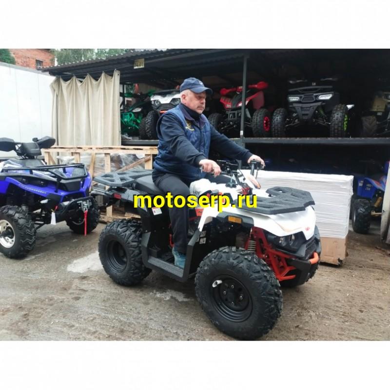 Купить  ====180cc Квадроцикл KAYO AU180 (BULL-3C) (белый пластик,комплект запчастей) 2023 г. (зал) (шт) (SM купить с доставкой по Москве и России, цена, технические характеристики, комплектация фото  - motoserp.ru