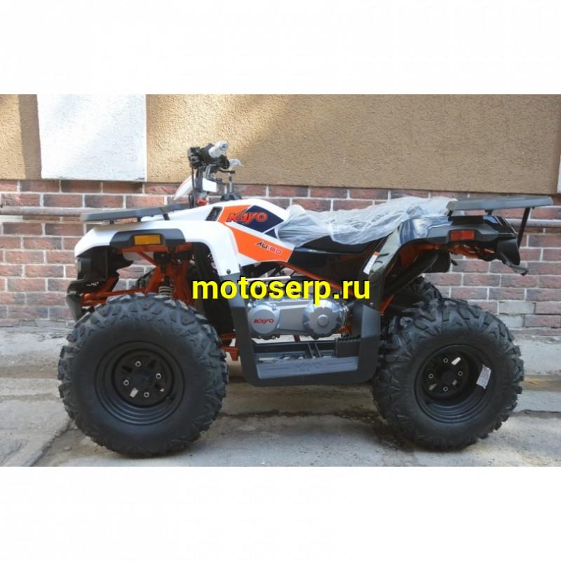 Купить  ====180cc Квадроцикл KAYO AU180 (BULL-3C) (белый пластик,комплект запчастей) 2023 г. (зал) (шт) (SM купить с доставкой по Москве и России, цена, технические характеристики, комплектация фото  - motoserp.ru