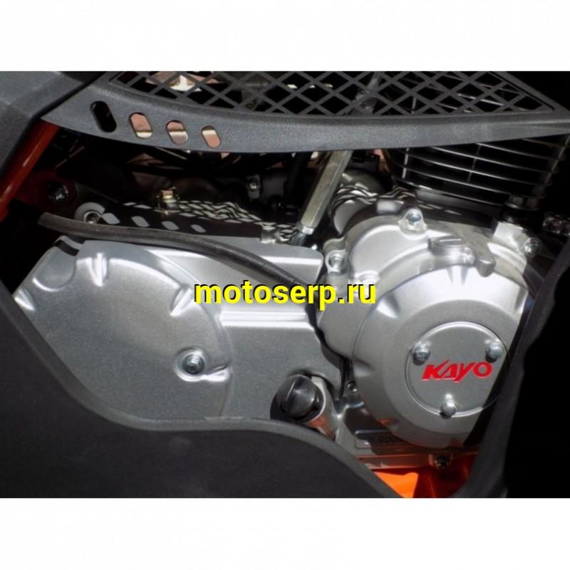 Купить  ====200cc Квадроцикл KAYO AU200 (BIG BULL) (белый пластик,комплект запчастей) 2023 г. (шт) (SM купить с доставкой по Москве и России, цена, технические характеристики, комплектация фото  - motoserp.ru