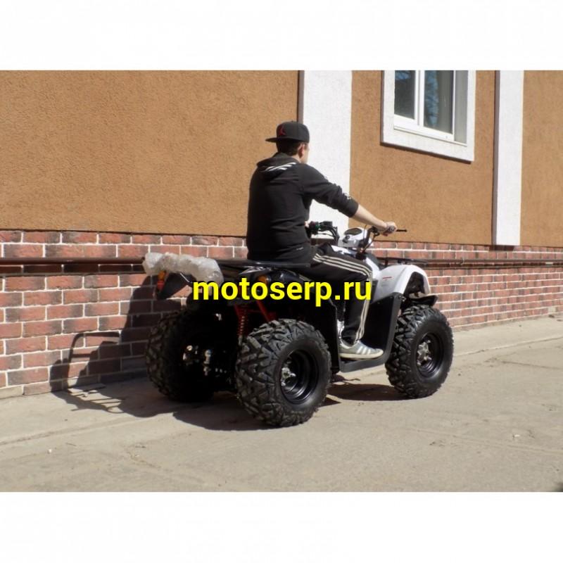 Купить  200cc Квадроцикл KAYO AU200 (BIG BULL) (белый пластик,комплект запчастей) 2023 г. (шт) (SM купить с доставкой по Москве и России, цена, технические характеристики, комплектация фото  - motoserp.ru