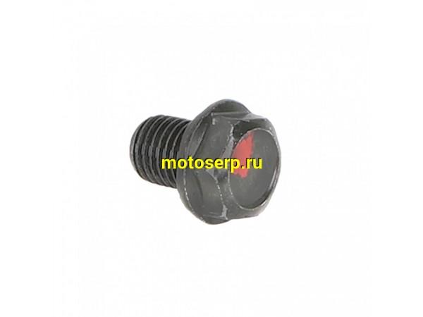 Купить  Болт (винт) сливной (пробка, крышка мас фильтра) М12х1,5 15мм  152QMI, 157QMJ (шт) (0 купить с доставкой по Москве и России, цена, технические характеристики, комплектация фото  - motoserp.ru
