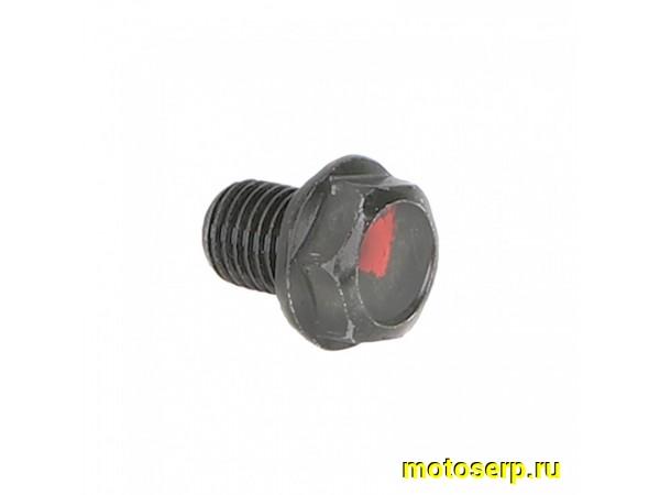 Купить  Болт (винт) сливной (пробка, крышка мас фильтра) М12х1,5 15мм  152QMI, 157QMJ (шт) (MOTAX купить с доставкой по Москве и России, цена, технические характеристики, комплектация фото  - motoserp.ru