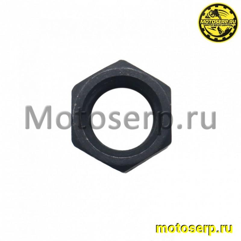Купить  Гайка вала промежуточного Dingo T125 (левая резьба) (шт) (0 купить с доставкой по Москве и России, цена, технические характеристики, комплектация фото  - motoserp.ru