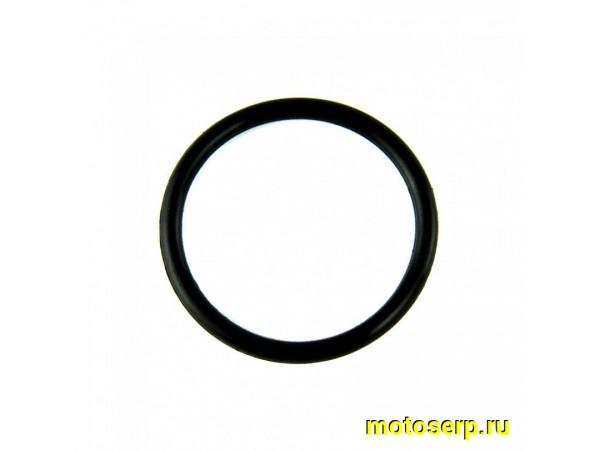 Купить  Кольцо уплотнительное 27.4&times;2.65 мм крышки смотрового окна генератора  ZS1P62YML-2 (W190), ZS169FMM (шт) (AVANTIS 13191 купить с доставкой по Москве и России, цена, технические характеристики, комплектация фото  - motoserp.ru