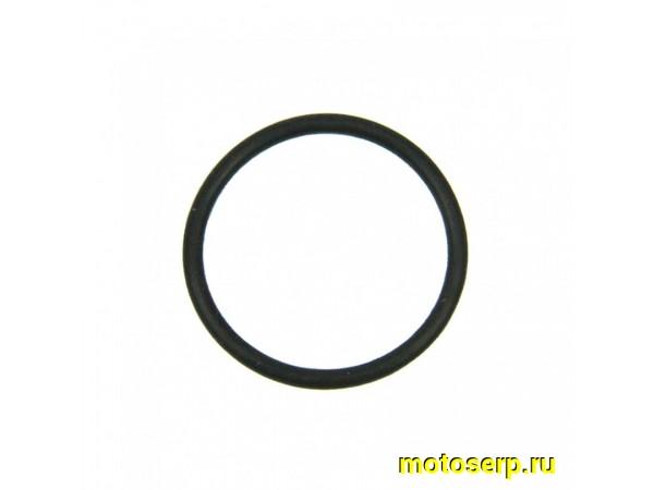 Купить  Кольцо крышки маслофильтра ф35x41x3 ZS165FMM, ZS169FMM, Z172FMM-3A, ZS172FMM-5, ZS174MN-3 (шт) (AVANTIS 14138 купить с доставкой по Москве и России, цена, технические характеристики, комплектация фото  - motoserp.ru