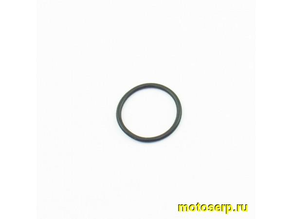 Купить  Кольцо уплотнительное ведущей звезды ZS177MM (шт) (AVANTIS 14825 купить с доставкой по Москве и России, цена, технические характеристики, комплектация фото  - motoserp.ru