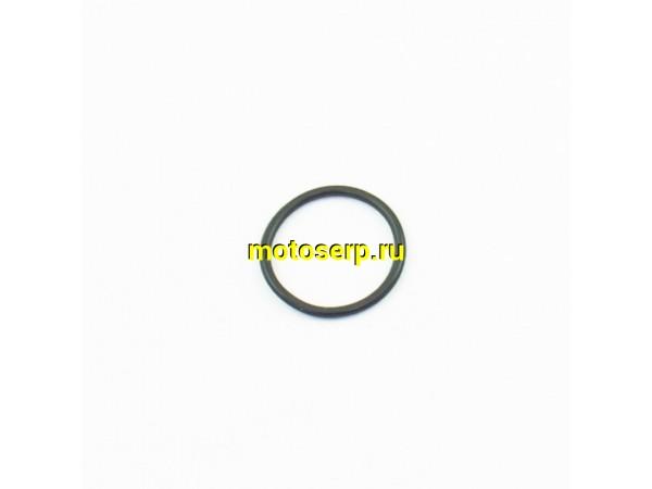 Купить  Кольцо уплотнительное ведущей звезды ZS177MM (шт) (AVANTIS 14825 купить с доставкой по Москве и России, цена, технические характеристики, комплектация фото  - motoserp.ru