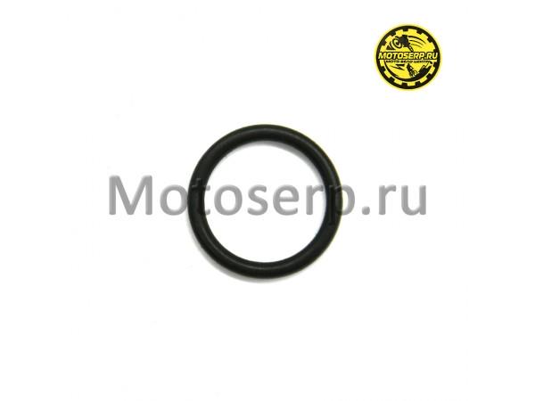 Купить  Кольцо уплотнительное  18x2.5 мм ZS194MQ (шт) (AVANTIS 24597 купить с доставкой по Москве и России, цена, технические характеристики, комплектация фото  - motoserp.ru