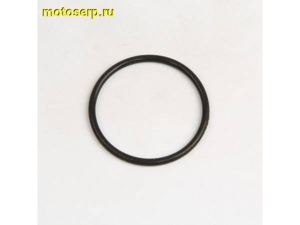 Купить  Кольцо уплотнительное 38.6x2.6 мм ZS1P62YML-2 (шт) (AVANTIS 24648 купить с доставкой по Москве и России, цена, технические характеристики, комплектация фото  - motoserp.ru