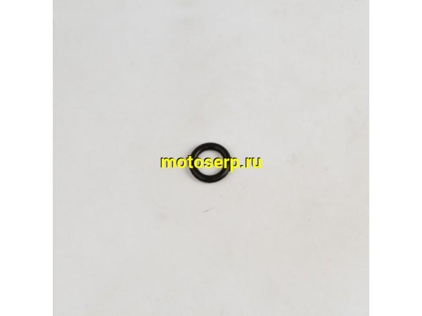 Купить  Кольцо уплотнительное ZS1P62YML-2 (шт)  (AVANTIS 24991 купить с доставкой по Москве и России, цена, технические характеристики, комплектация фото  - motoserp.ru
