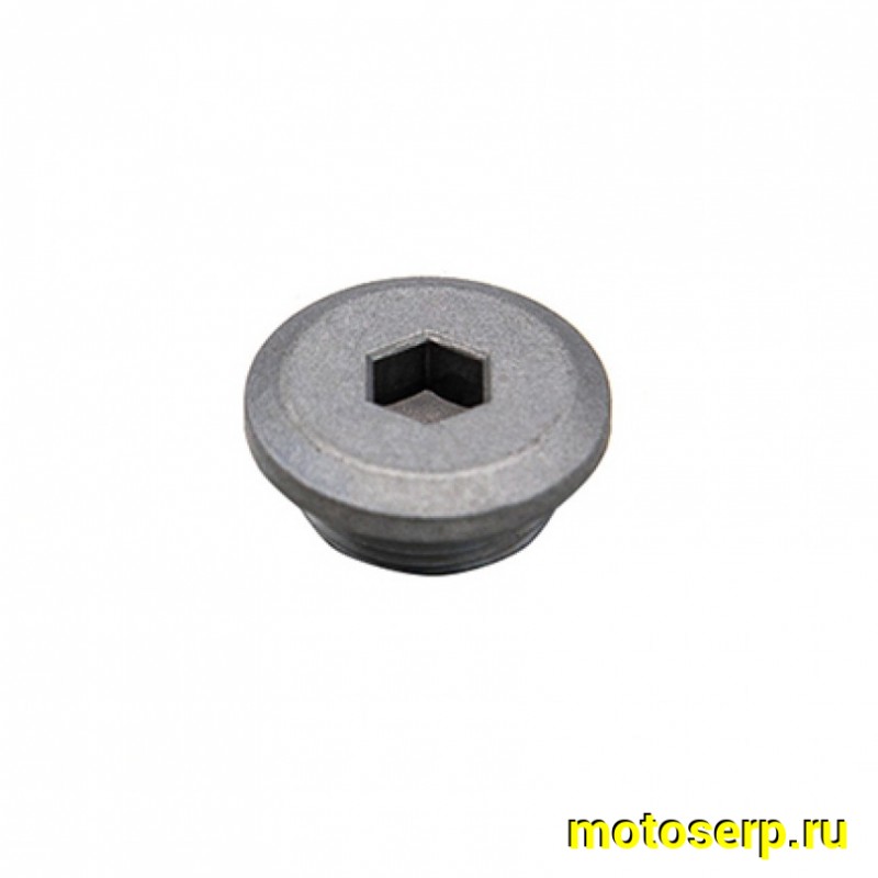 Купить  Винт (крышка, пробка, заглушка)  смотрового окна левой крышки картера ZS177MM (NC250) и др. D26mm.(шт) (Regul 100103063-0002 купить с доставкой по Москве и России, цена, технические характеристики, комплектация фото  - motoserp.ru