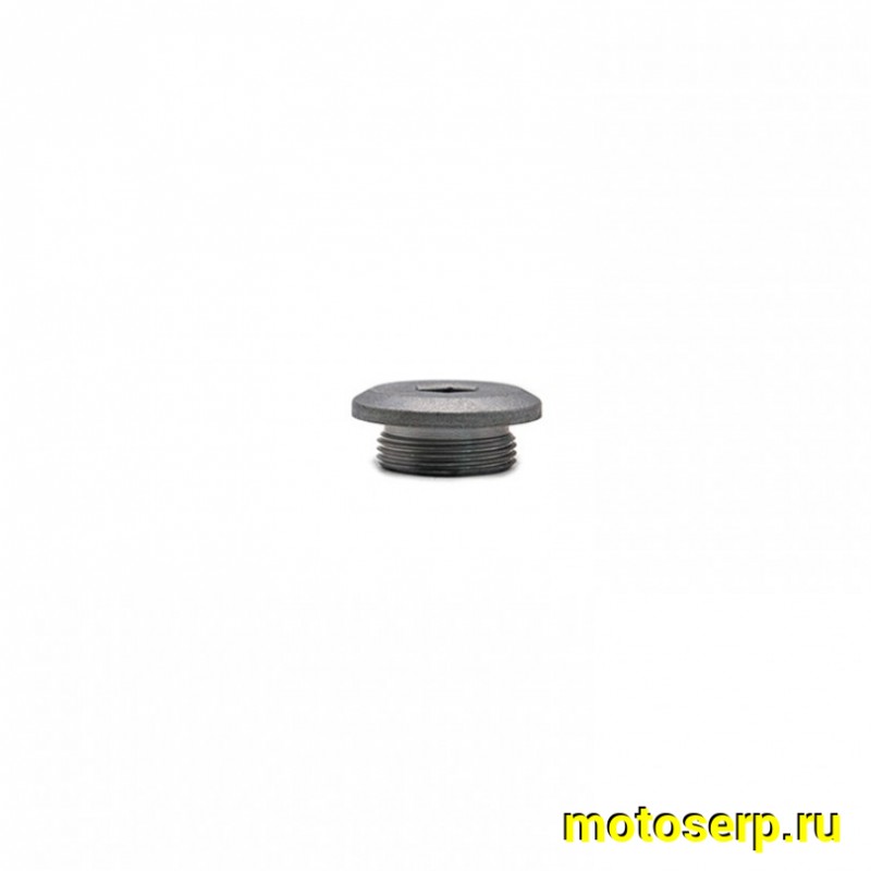 Купить  Винт (крышка, пробка, заглушка)  смотрового окна левой крышки картера ZS177MM (NC250) и др. D26mm.(шт) (Regul 100103063-0002 купить с доставкой по Москве и России, цена, технические характеристики, комплектация фото  - motoserp.ru
