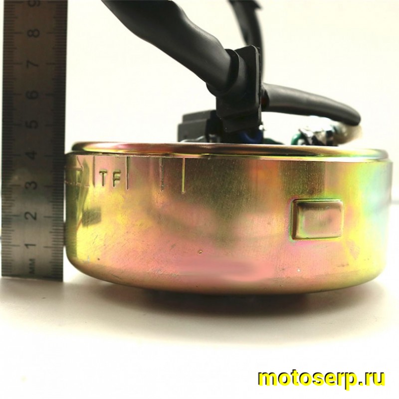 Купить  Генератор (статор +  ротор) 8 кат (3+1+1) 161QMK с махов.в сборе (шт) (AVANTIS 31322 купить с доставкой по Москве и России, цена, технические характеристики, комплектация фото  - motoserp.ru
