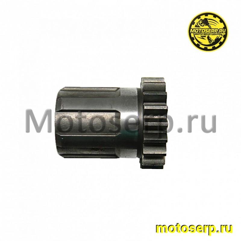 Купить  Шестерня вала кикстартера ZS174MN-3 (CBS300) (шт) (AVANTIS 17971 купить с доставкой по Москве и России, цена, технические характеристики, комплектация фото  - motoserp.ru
