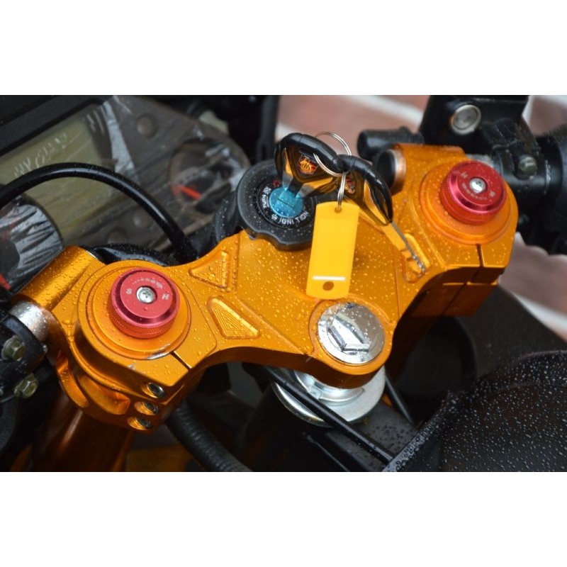Купить  Мотоцикл MM FALCON SPEEDFIRE 250  (ФАЛКОН СПИДФАЕР) спорт 4так,250cc, 2 глушителя; кол. 17"; 5 пер, эл.стартер, передн 2-х диск. торм. (шт) купить с доставкой по Москве и России, цена, технические характеристики, комплектация фото  - motoserp.ru