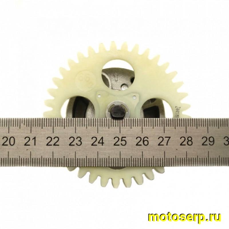 Купить  Насос масляный в сб 172FMM ZUUM  др. 39зуб.  (шт) (SM 358-1080 купить с доставкой по Москве и России, цена, технические характеристики, комплектация фото  - motoserp.ru