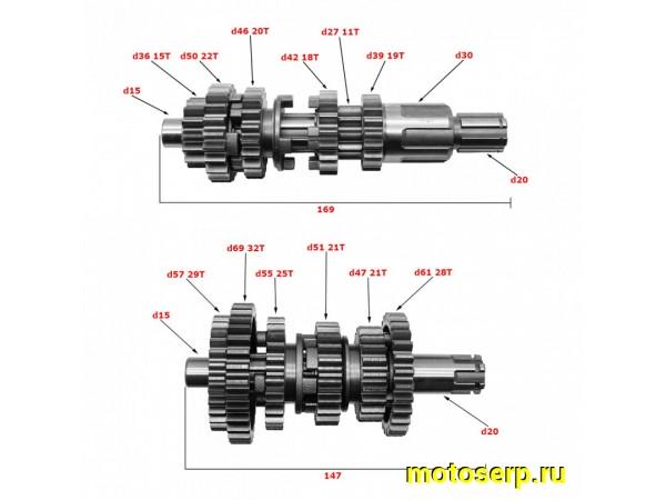 Купить  Коробка передач (вал ведом + вал ведущ) в сб. 162FMJ, 169FMM  (шт) (Regul 100203350 купить с доставкой по Москве и России, цена, технические характеристики, комплектация фото  - motoserp.ru
