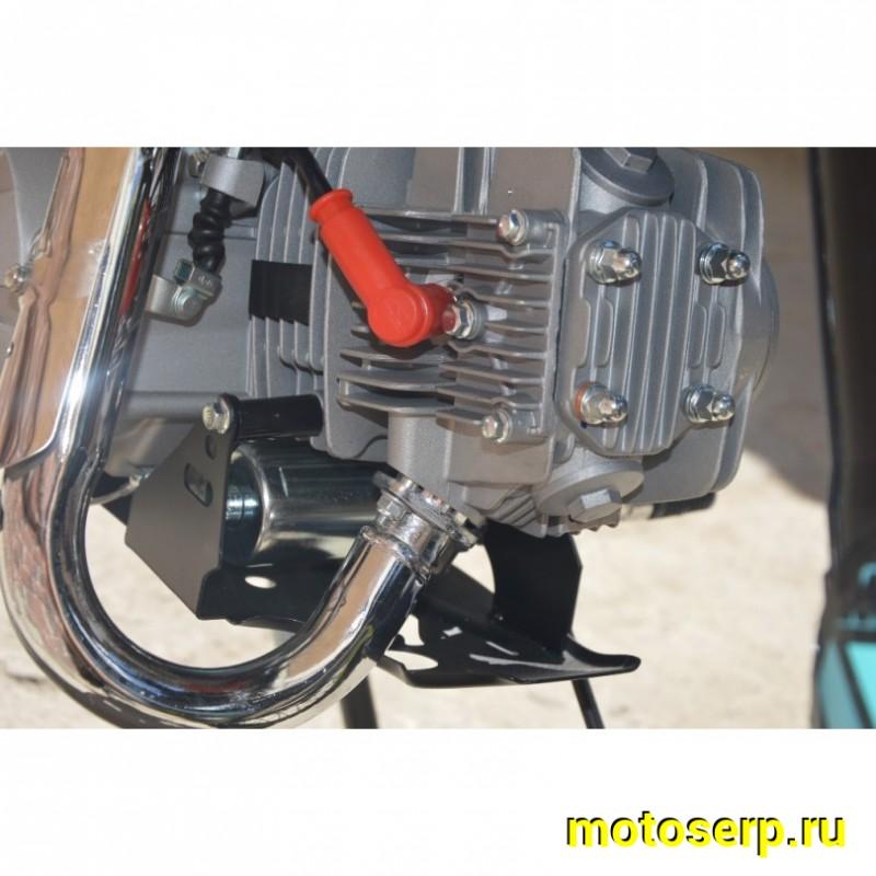 Купить  Питбайк Regulmoto SEVEN (спортинв), 17/14, 4Т, 125(50)сс (шт) купить с доставкой по Москве и России, цена, технические характеристики, комплектация фото  - motoserp.ru