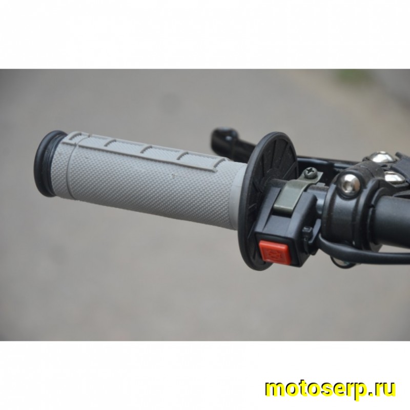 Купить  Питбайк Regulmoto SEVEN MEDALIST 17/14 (спортинв), 150сс (50сс) 4Т, эл/кикстартер, карб., маслян. охл. (шт)  купить с доставкой по Москве и России, цена, технические характеристики, комплектация фото  - motoserp.ru