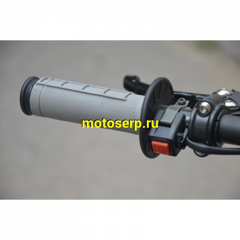 Купить  Питбайк Regulmoto SEVEN MEDALIST 17/14 (спортинв), 150сс (50сс) 4Т, эл/кикстартер, карб., маслян. охл. (шт)  купить с доставкой по Москве и России, цена, технические характеристики, комплектация фото  - motoserp.ru