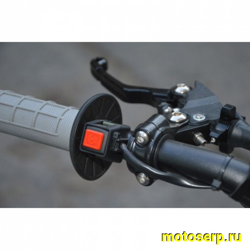 Купить  ====Питбайк Regulmoto SEVEN MEDALIST 19/16 (спортинв), 150сс (зал) (шт) купить с доставкой по Москве и России, цена, технические характеристики, комплектация фото  - motoserp.ru