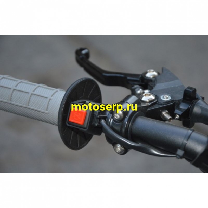 Купить  ====Питбайк Regulmoto SEVEN MEDALIST 19/16 (спортинв), 150сс (зал) (шт) купить с доставкой по Москве и России, цена, технические характеристики, комплектация фото  - motoserp.ru