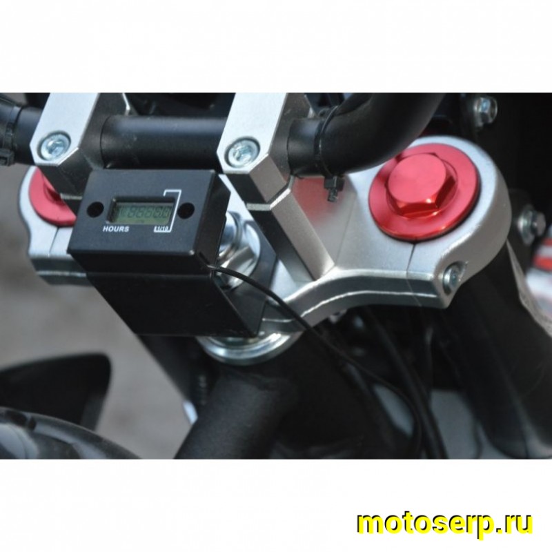 Купить  ====Питбайк Regulmoto SEVEN MEDALIST 19/16 (спортинв), 150сс (зал) (шт) купить с доставкой по Москве и России, цена, технические характеристики, комплектация фото  - motoserp.ru