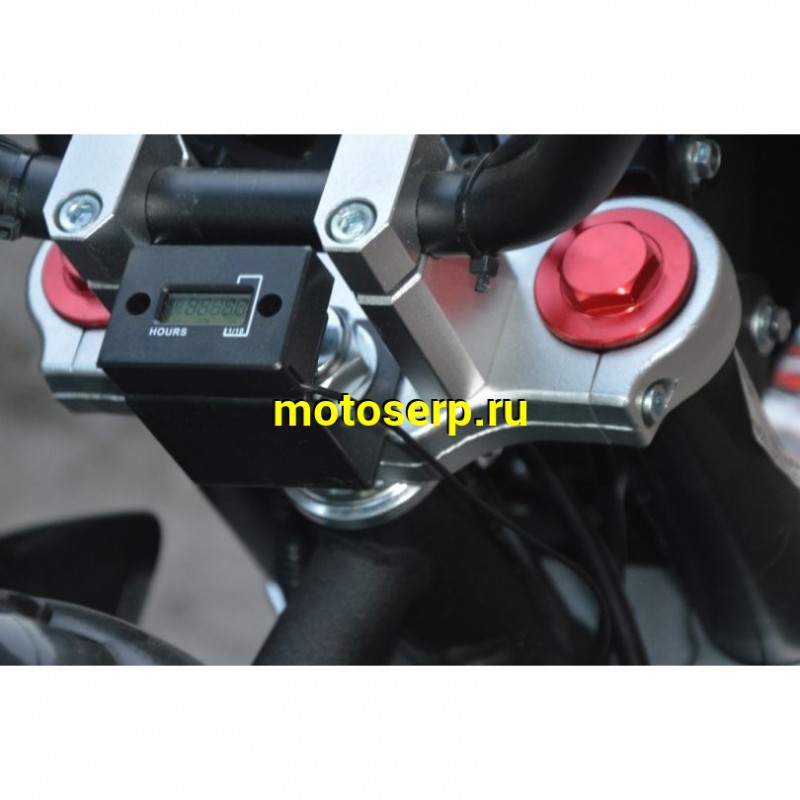 Купить  ====Питбайк Regulmoto SEVEN MEDALIST 19/16 (спортинв), 150сс (зал) (шт) купить с доставкой по Москве и России, цена, технические характеристики, комплектация фото  - motoserp.ru