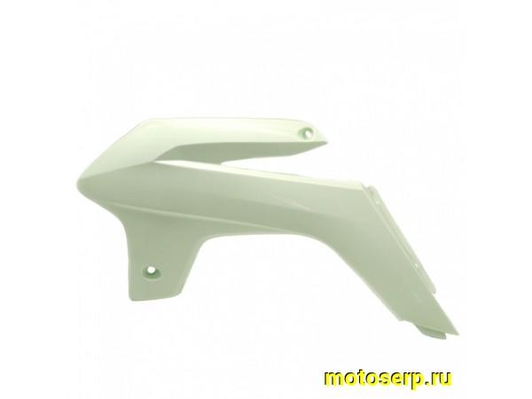 Купить  Обтекатель боковой передний AVANTIS FX250 левый (шт) (AVANTIS 15189 купить с доставкой по Москве и России, цена, технические характеристики, комплектация фото  - motoserp.ru