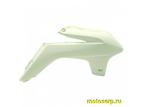 Купить  Обтекатель боковой передний AVANTIS FX250 правый (шт) (AVANTIS 15190 купить с доставкой по Москве и России, цена, технические характеристики, комплектация фото  - motoserp.ru