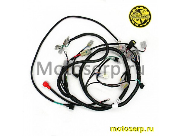 Купить  Проводка главная Avantis FX250 (шт) (AVANTIS 15200 купить с доставкой по Москве и России, цена, технические характеристики, комплектация фото  - motoserp.ru