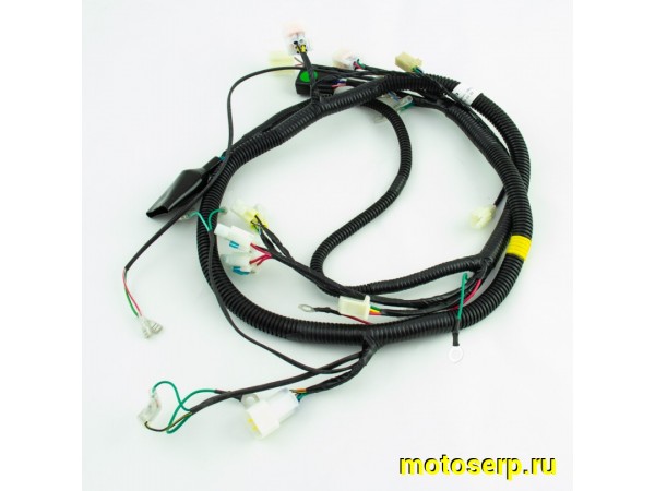 Купить  Проводка главная Avantis FX250 (шт) (AVANTIS 15200 купить с доставкой по Москве и России, цена, технические характеристики, комплектация фото  - motoserp.ru