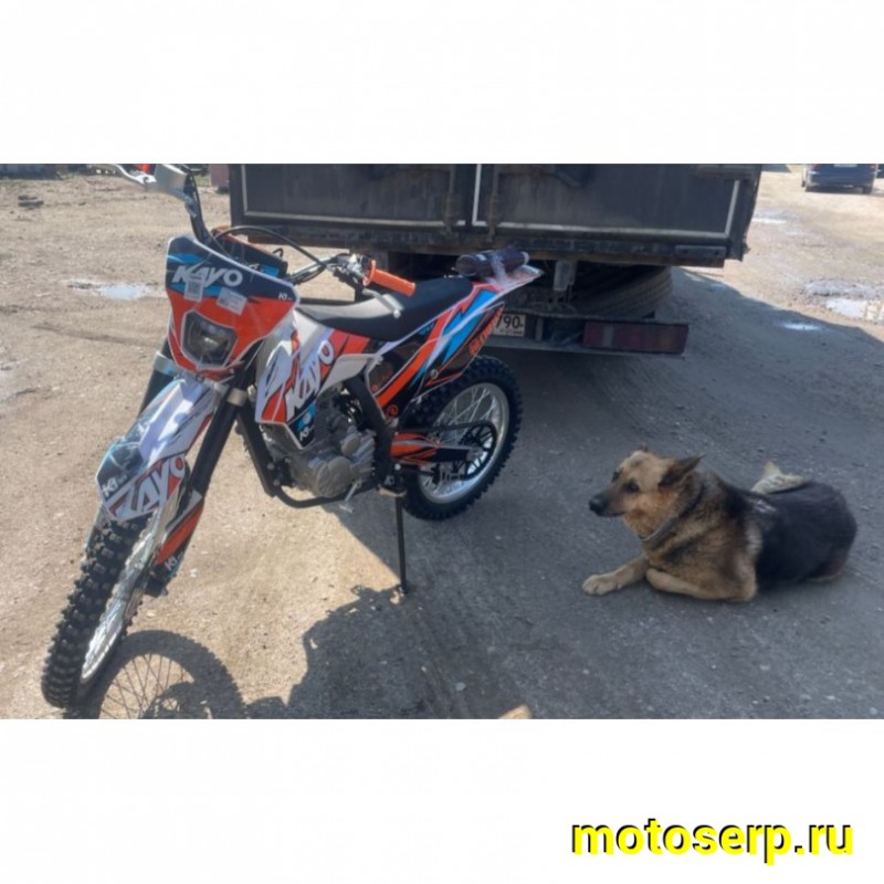 Купить  Мотоцикл Кросс/Эндуро KAYO K1 250 MX 21/18  (спортинв), 172FMM, 249сс, 4Т., воз. охл., диск/диск. (шт) (SM  купить с доставкой по Москве и России, цена, технические характеристики, комплектация фото  - motoserp.ru