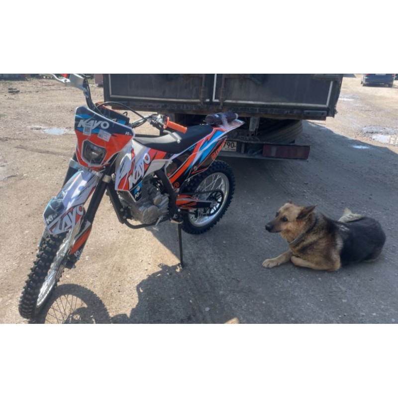 Купить  Мотоцикл Кросс/Эндуро KAYO K1 250 MX 21/18  (спортинв), 172FMM, 249сс, 4Т., воз. охл., диск/диск. (шт) (SM  купить с доставкой по Москве и России, цена, технические характеристики, комплектация фото  - motoserp.ru