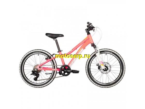 Купить  20" скоростной STINGER FIONA KID (Стингер Фиона Кид) 20"; 6ск; рама-алюминий; тормоз-Disk (шт) (0  купить с доставкой по Москве и России, цена, технические характеристики, комплектация фото  - motoserp.ru