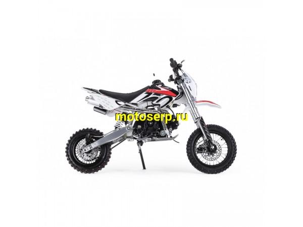 Купить  ====Питбайк BSE EVO 110e Evolution A - 12/10 (электростартер, АВТОМАТ) (шт).   купить с доставкой по Москве и России, цена, технические характеристики, комплектация фото  - motoserp.ru