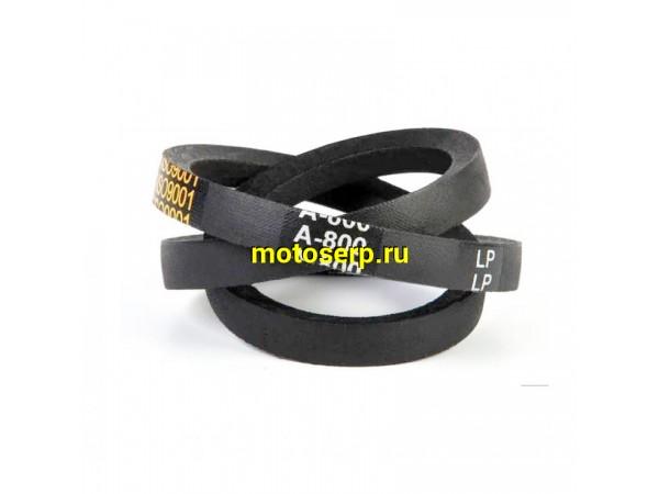 Купить  Ремень А-800 (800*13) мотоблока приводной (шт) (0 купить с доставкой по Москве и России, цена, технические характеристики, комплектация фото  - motoserp.ru