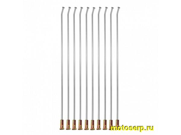 Купить  Спицы переднего колеса 21"  Regulmoto Sport 003, Athlete, (3мм) (10шт) (комп) (Regul 201488 купить с доставкой по Москве и России, цена, технические характеристики, комплектация фото  - motoserp.ru