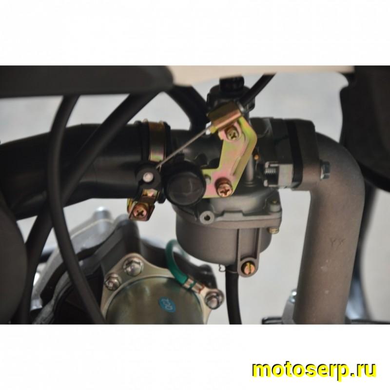 Купить  Мопед RATO Alpha Warrior 50 (Варриор) 4Т, LED светотехника, длинная база, кол 17", диск/бараб, эл/кик старт.  (шт) 01250 (P.moto (Хар купить с доставкой по Москве и России, цена, технические характеристики, комплектация фото  - motoserp.ru
