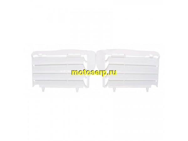 Купить  Решетка защитная радиаторов Regulmoto CRZ-300 (шт) (Regul 301079 купить с доставкой по Москве и России, цена, технические характеристики, комплектация фото  - motoserp.ru