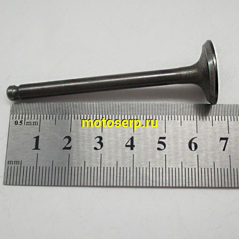 Купить  Клапан 139FMB (впуск/выпуск) (D-23mm, d-20mm, L-66mm, l-65mm, T-5mm, t-5mm) YX125,YX140,LF120 OEM (шт) (Кокурин купить с доставкой по Москве и России, цена, технические характеристики, комплектация фото  - motoserp.ru