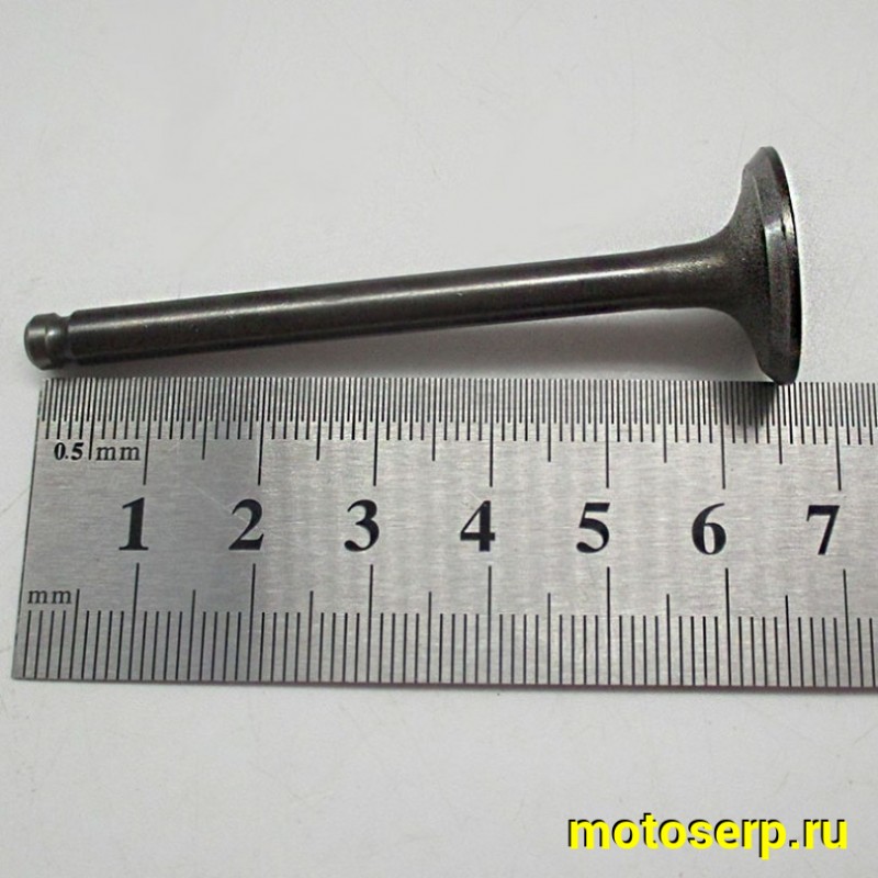 Купить  Клапан 139FMB (впуск/выпуск) (D-23mm, d-20mm, L-66mm, l-65mm, T-5mm, t-5mm) YX125,YX140,LF120 OEM (шт) (Кокурин купить с доставкой по Москве и России, цена, технические характеристики, комплектация фото  - motoserp.ru
