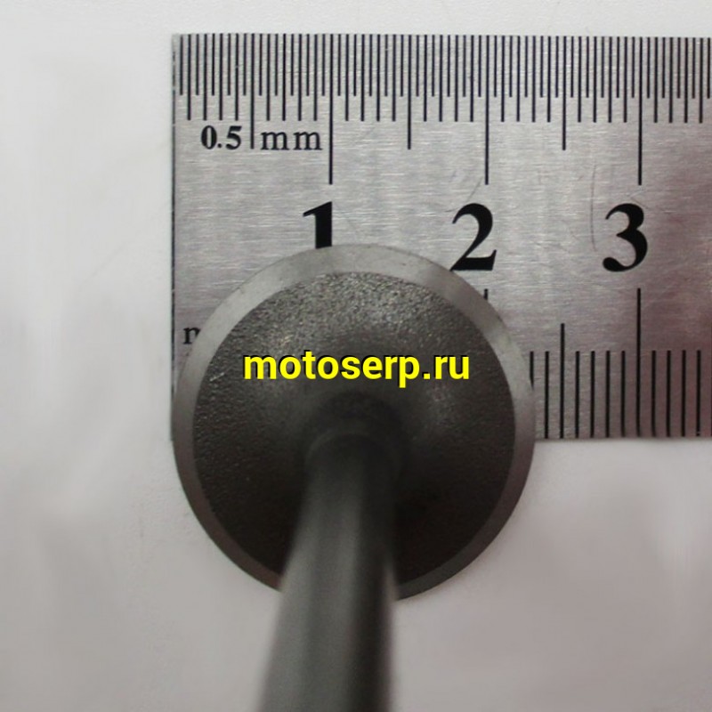 Купить  Клапан 139FMB (впуск/выпуск) (D-23mm, d-20mm, L-66mm, l-65mm, T-5mm, t-5mm) YX125,YX140,LF120 OEM (шт) (Кокурин купить с доставкой по Москве и России, цена, технические характеристики, комплектация фото  - motoserp.ru