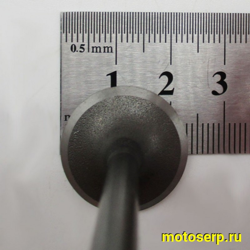 Купить  Клапан 139FMB (впуск/выпуск) (D-23mm, d-20mm, L-66mm, l-65mm, T-5mm, t-5mm) YX125,YX140,LF120 OEM (шт) (Кокурин купить с доставкой по Москве и России, цена, технические характеристики, комплектация фото  - motoserp.ru