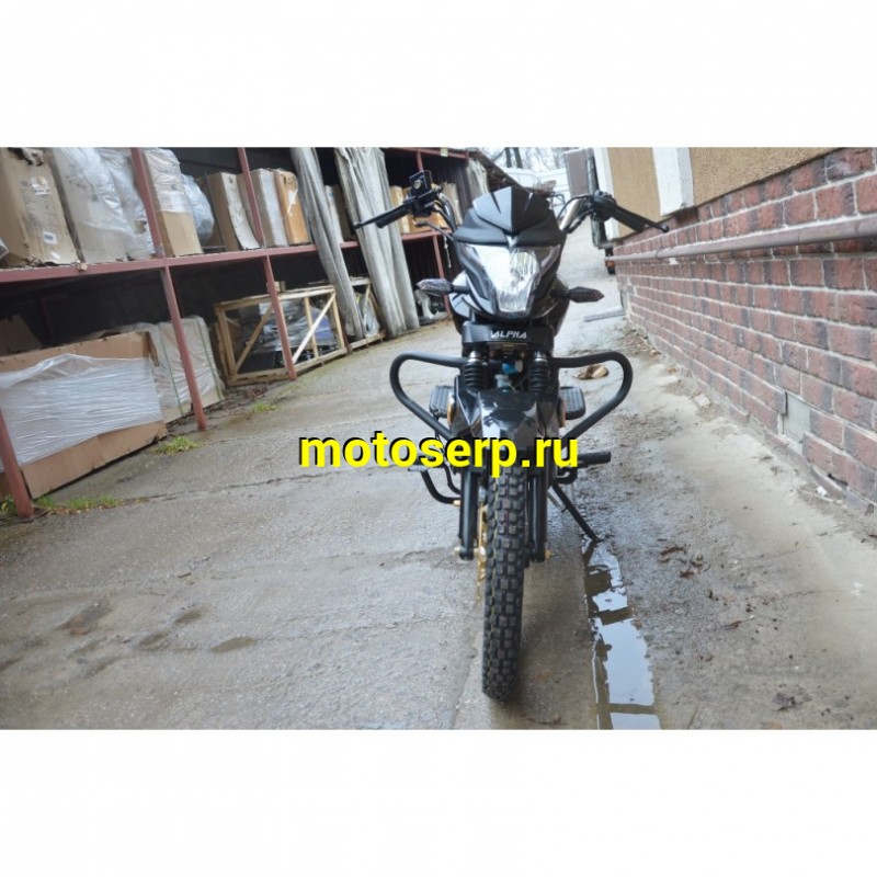 Купить  Мопед Alpha V  4Т; 50cc; колеса 17"литые; 4пер, эл. старт;  (шт) 01250 (Глотов купить с доставкой по Москве и России, цена, технические характеристики, комплектация фото  - motoserp.ru