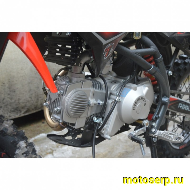 Купить  Питбайк Regulmoto SEVEN MEDALIST PRO (спортинв), 19/16, 4Т, 140 (шт) купить с доставкой по Москве и России, цена, технические характеристики, комплектация фото  - motoserp.ru