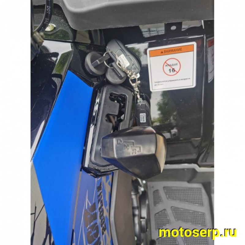 Купить  200cc Комплект запчастей для сборки TaoTao Warrior 200 LUX (MILLENNIUM)  200сс, утилит, 2х4, колеса 10", автомат, реверс, (шт) (ТехМаркет купить с доставкой по Москве и России, цена, технические характеристики, комплектация фото  - motoserp.ru